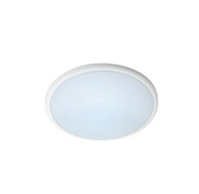 Ceiling Button Light 14watts