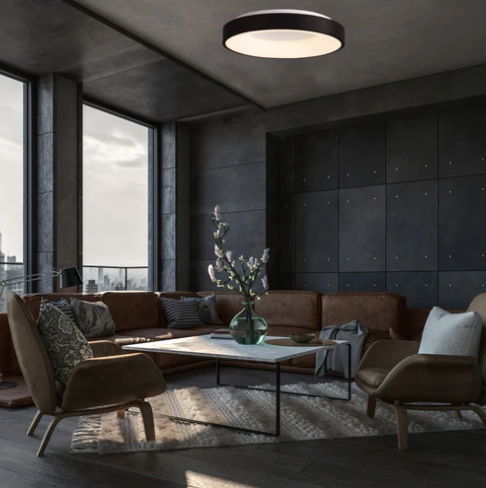  Oysters and Button Collection