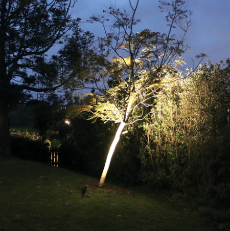 LED Garden Spotlight on Spike Low Glare 10W Bullet