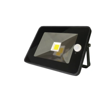LED Floodlight w/ Infrared Sensor 30watts IP65