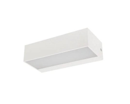 LED Wall Light Apical Small CCT